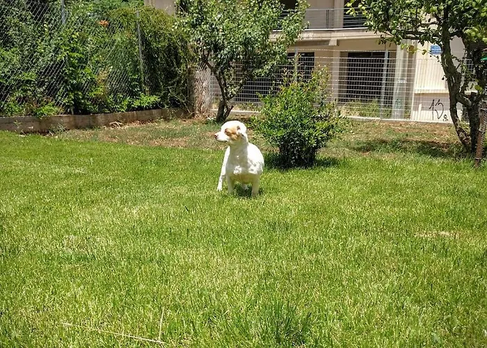 Renovated House With Garden In Апартаменты